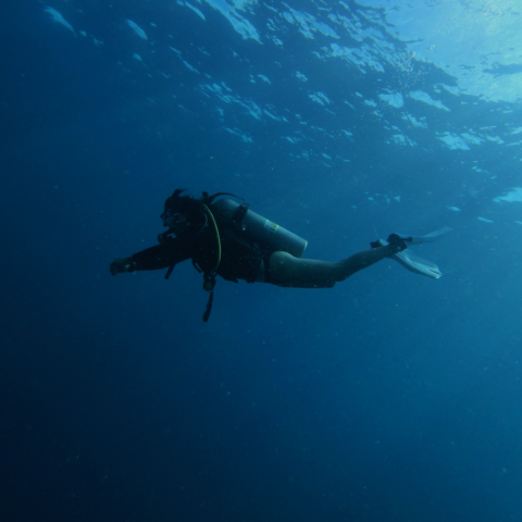 Las mujeres en el buceo luchan por la equidad de género Las mujeres en el buceo luchan por la equidad de género