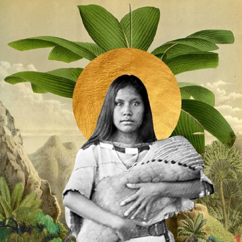 Ecofeminismo: 10 claves para salvar el planeta Ecofeminismo: 10 claves para salvar el planeta