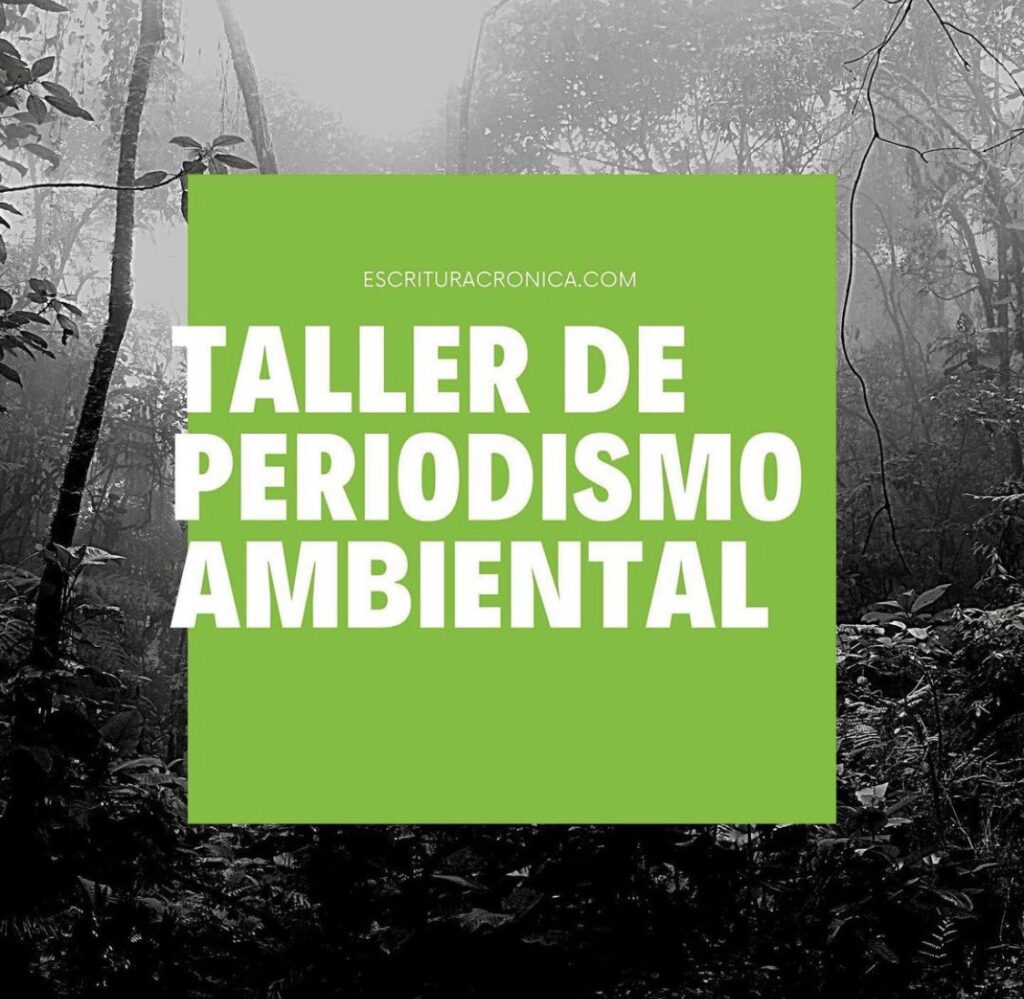 taller de periodismo ambiental