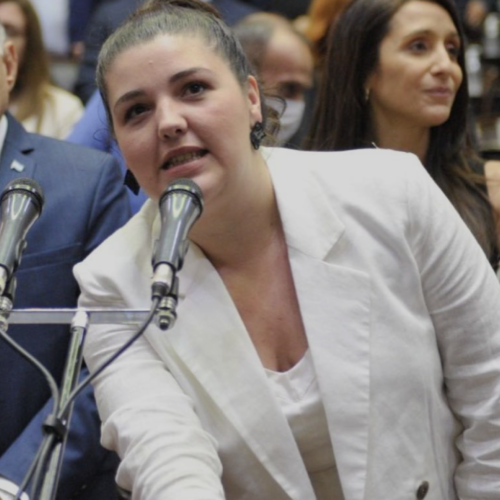 Brenda Vargas Matyi: la diputada más jóven de Argentina