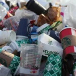 Guía práctica para el reciclado: separación de residuos