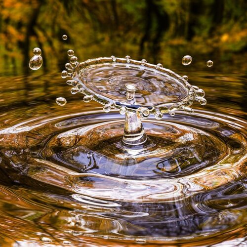 22 de marzo: día Mundial del Agua