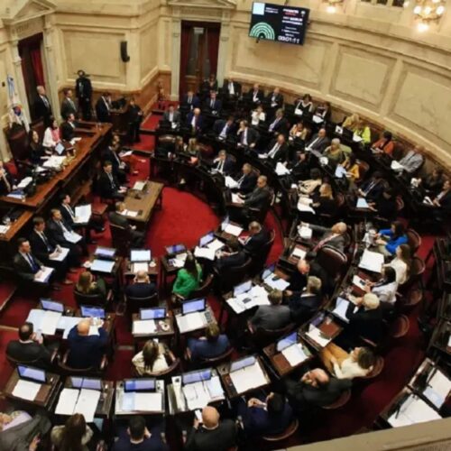 El senado aprobó la Ley de Bases