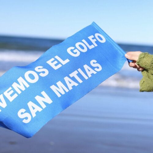 Golfo San Matías: ¿Un puerto petrolero entre las ballenas?