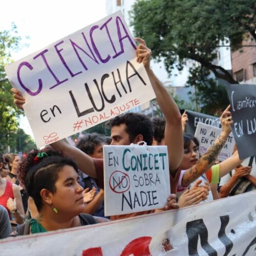 Sin ciencia, no hay futuro: alarma por los recortes en el CONICET