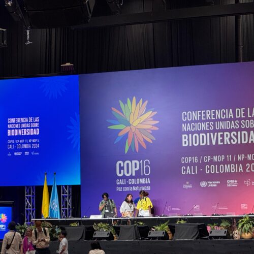 Comenzó la COP16 sobre Biodiversidad en Colombia: Un evento clave para la conservación global