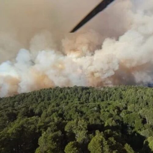 Incendio en el Parque Nacional Nahuel Huapi: más de 3.500 hectáreas de bosques desvastadas