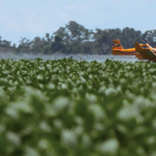 Argentina lidera el ranking mundial de uso de agrotóxicos