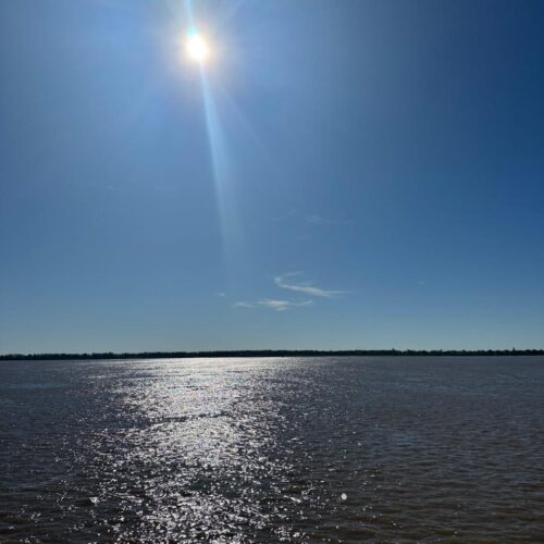 El Río Paraná tiene el nivel más alto de glifosato de Sudamérica