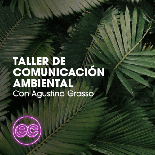 Lanzamos el taller de Comunicación Ambiental 2025