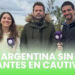 Argentina sin elefantes en cautiverio