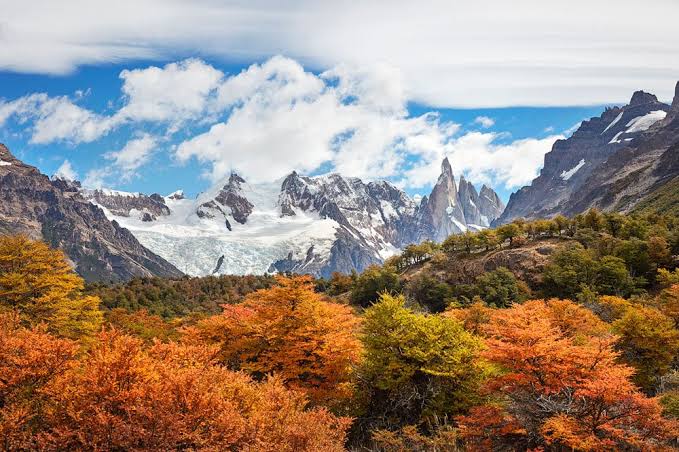 Argentina en venta: una ley que propone entregar tierras sin control a extranjeros
