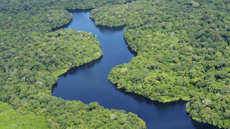 Qué significa el triunfo de Lula para Amazonia